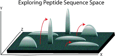 Graphical abstract: The evolvability of lead peptides from small library screens