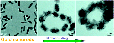 Graphical abstract: Dipole directed ring assembly of Ni-coated Au-nanorods