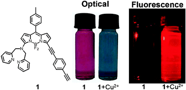 Graphical abstract: A highly sensitive, selective, colorimetric and near-infrared fluorescent turn-on chemosensor for Cu2+ based on BODIPY