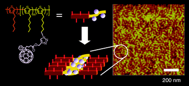 Graphical abstract: Fullerene attached all-semiconducting diblock copolymers for stable single-component polymer solar cells