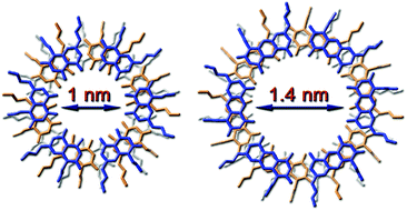Graphical abstract: Rosette nanotubes with 1.4 nm inner diameter from a tricyclic variant of the Lehn–Mascal G∧C base