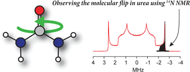 Graphical abstract: Ultra-wideline 14N NMR spectroscopy as a probe of molecular dynamics