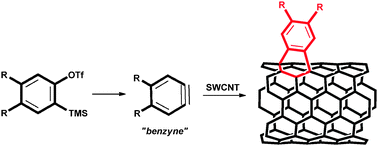 Graphical abstract: Cycloaddition of benzyne to SWCNT: towards CNT-based paddle wheels