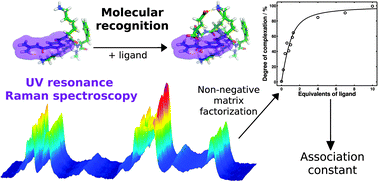 Graphical abstract: Quantitative, label-free and site-specific monitoring of molecular recognition: a multivariate resonance Raman approach