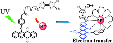 Graphical abstract: A new tetrathiafulvalene–phenoxynaphthacenequinone dyad: switching on the intramolecular electron-transfer with UV light irradiation and metal ion coordination