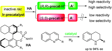 Graphical abstract: Brønsted acid differentiated metal catalysis by kinetic discrimination