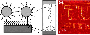 Graphical abstract: Layer-by-layer assembly of titania nanoparticles based ionic networks