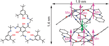 Graphical abstract: Rational design of single-molecule magnets: a supramolecular approach