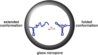 Graphical abstract: Biomimetic glass nanopores employing aptamer gates responsive to a small molecule