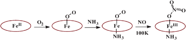 Graphical abstract: Hexacoordinate oxy-globin models Fe(Por)(NH3)(O2) react with NO to form only the nitrato analogs Fe(Por)(NH3)(η1-ONO2), even at ∼100 K