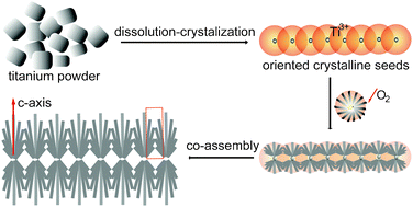 Graphical abstract: Substrate-free, large-scale, free-standing and two-side oriented single crystal TiO2 nanorod array films with photocatalytic properties
