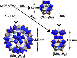 Graphical abstract: Controlling transformations in the assembly of polyoxometalate clusters: {Mo11V7}, {Mo17V8} and {Mo72V30}