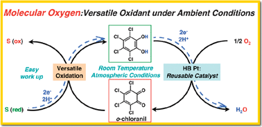 Graphical abstract: In situ coupled oxidation cycle catalyzed by highly active and reusable Pt-catalysts: dehydrogenative oxidation reactions in the presence of a catalytic amount of o-chloranil using molecular oxygen as the terminal oxidant