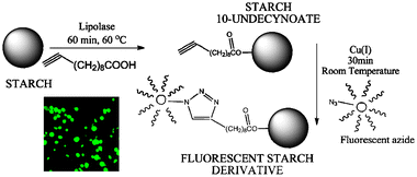 Graphical abstract: Biocompatible functionalisation of starch