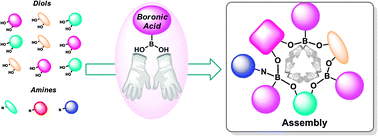 Graphical abstract: Boronic acid building blocks: tools for self assembly