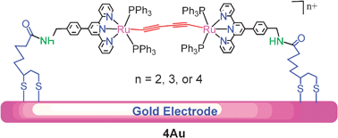 Graphical abstract: A butadiyne-linked diruthenium molecular wire self-assembled on a gold electrode surface