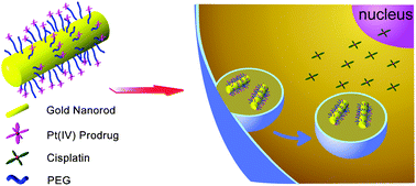 Graphical abstract: Gold nanorods for platinum based prodrug delivery