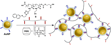 Graphical abstract: Supramolecular gold nanoparticle–polymer composites formed in water with cucurbit[8]uril