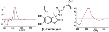 Graphical abstract: Asymmetric total synthesis of (+)-fumimycin via 1,2-addition to ketimines