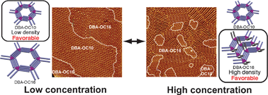 Graphical abstract: Role of pseudopolymorphism on concentration dependent competitive adsorption at a liquid/solid interface