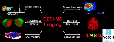 Graphical abstract: Perspectives in imaging using mass spectrometry