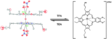 Graphical abstract: Bismuth– and lead–texaphyrin complexes: towards potential α-core emitters for radiotherapy