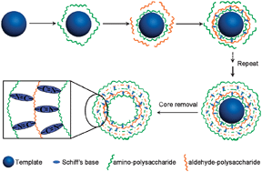 Graphical abstract: pH-responsive polysaccharide microcapsules through covalent bonding assembly
