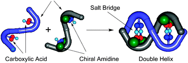 Graphical abstract: A hetero-stranded double helix composed of m-diethynylbenzene-based complementary molecular strands stabilized by amidinium-carboxylate salt bridges