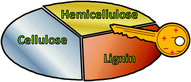 Graphical abstract: Where are ionic liquid strategies most suited in the pursuit of chemicals and energy from lignocellulosic biomass?