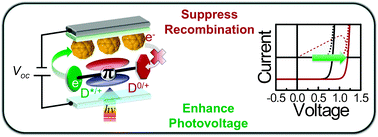 Graphical abstract: The molecular nature of photovoltage losses in organic solar cells