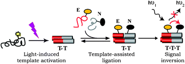 Graphical abstract: Replication NAND gate with light as input and output