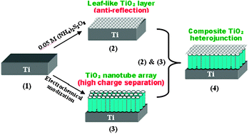 Graphical abstract: Enhanced photoelectrochemical activities of a nanocomposite film with a bamboo leaf-like structured TiO2 layer on TiO2 nanotube arrays