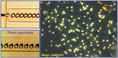 Graphical abstract: Microfluidic synthesis of Janus particles by UV-directed phase separation