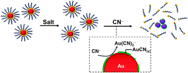 Graphical abstract: Colorimetric assay for cyanide and cyanogenic glycoside using polysorbate 40-stabilized gold nanoparticles