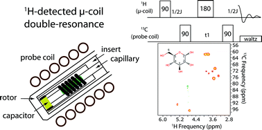 Graphical abstract: A convenient, high-sensitivity approach to multiple-resonance NMR at nanolitre volumes with inductively-coupled micro-coils