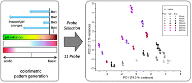 Graphical abstract: A colorimetric pH indicators and boronic acids ensemble array for quantitative sugar analysis