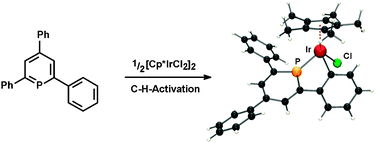 Graphical abstract: C–H activation of 2,4,6-triphenylphosphinine: unprecedented formation of cyclometalated [(P⁁C)Ir(iii)] and [(P⁁C)Rh(iii)] complexes