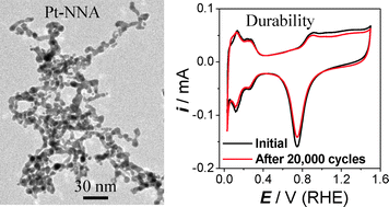 Graphical abstract: Pt nanoparticle netlike-assembly as highly durable and highly active electrocatalyst for oxygen reduction reaction
