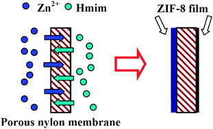 Graphical abstract: Contra-diffusion synthesis of ZIF-8 films on a polymer substrate
