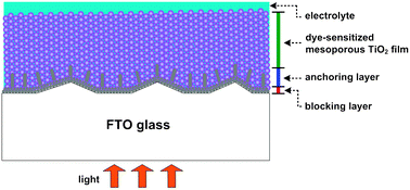 Graphical abstract: Electrochemical formation of transparent nanostructured TiO2 film as an effective bifunctional layer for dye-sensitized solar cells