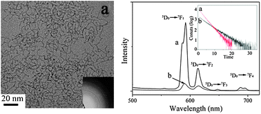 Graphical abstract: Facile synthesis of ultrasmall GdF3 nanowiresvia an oriented attachment growth and their luminescence properties