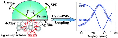 Graphical abstract: Localized and propagating surface plasmon co-enhanced Raman spectroscopy based on evanescent field excitation