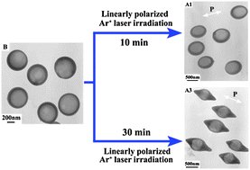 Graphical abstract: Hollow microspheres of amphiphilic azo homopolymers: self-assembly and photoinduced deformation behavior