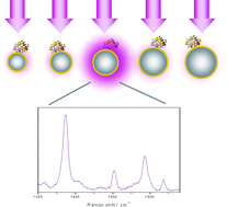 Graphical abstract: Functionalized Ag nanoparticles with tunable optical properties for selective protein analysis