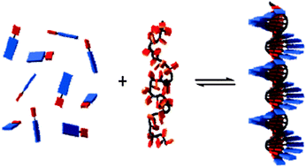 Graphical abstract: DNA-templated assembly of dyes and extended π-conjugated systems
