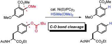Graphical abstract: Nickel-catalyzed reductive cleavage of aryl–oxygen bonds in alkoxy- and pivaloxyarenes using hydrosilanes as a mild reducing agent