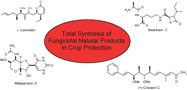 Graphical abstract: Recent developments in the total synthesis of fungicidal natural products—a crop protection perspective