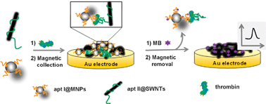 Graphical abstract: A post-labeling strategy based on dye-induced peeling of the aptamer off single-walled carbon nanotubes for electrochemical aptasensing