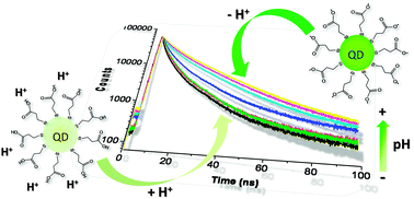 Graphical abstract: Quantum dot photoluminescence lifetime-based pH nanosensor