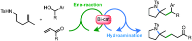 Graphical abstract: Tandem ene-reaction/hydroamination of amino-olefin and -allene compounds catalyzed by Bi(OTf)3